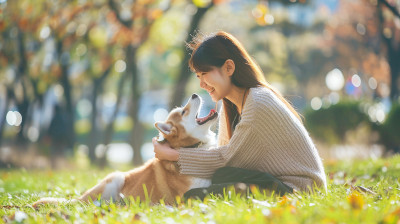 公園で犬と遊ぶ女性